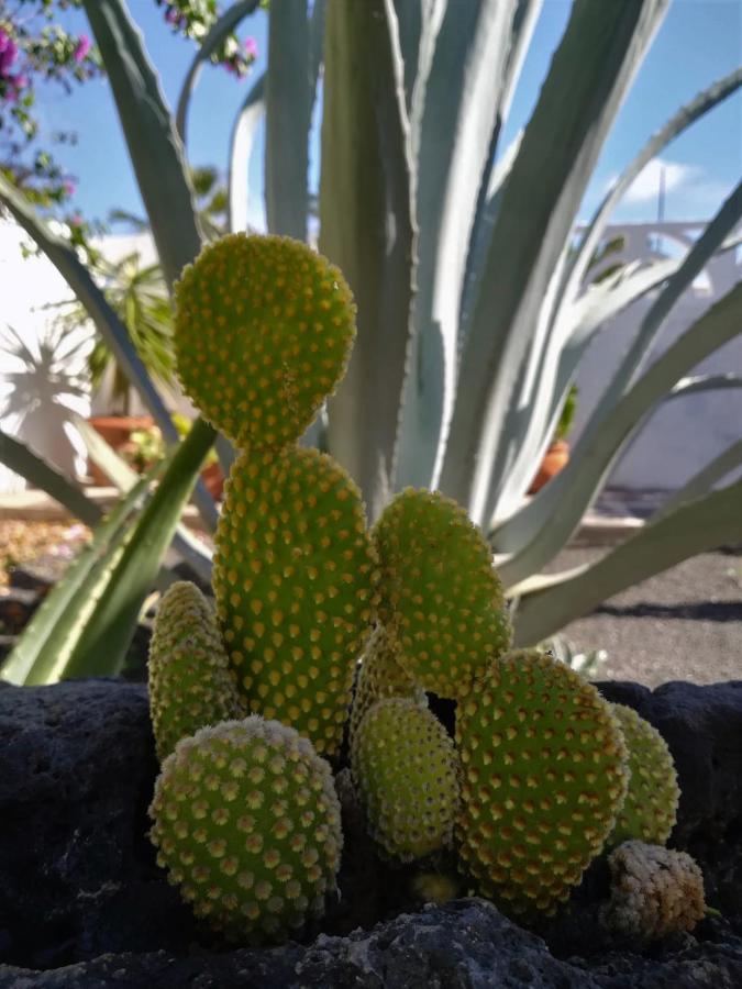 Guatiza Casa Azmira Del Marヴィラ エクステリア 写真